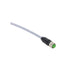 Murrelektronik 7000-17041-2950300 M12 5-pin female straight cordset with 3m PUR cable, IP67-rated.