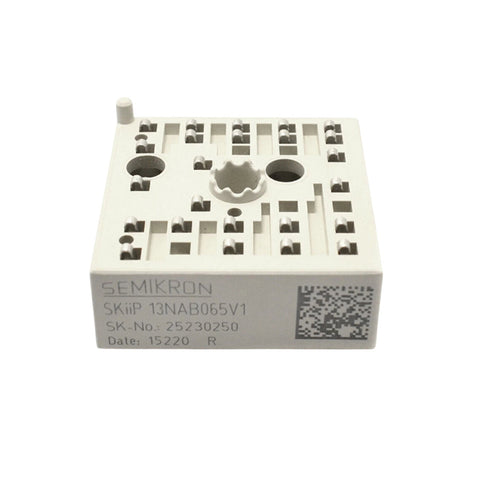 Semikron SKiiP13NAB065V1 - DDPARTS SOLUTION