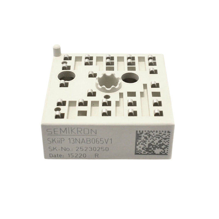 Semikron SKiiP13NAB065V1 - DDPARTS SOLUTION