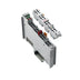 WAGO 753-461 2-channel RTD analog input module, Pt100, 0.1 °C resolution, IP20
